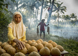 Selling Palm Sugar Poster och Canvastavla