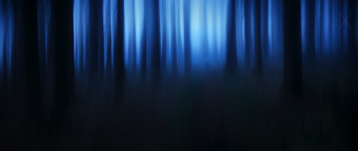 blue hour Poster och Canvastavla
