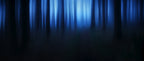 blue hour Poster och Canvastavla