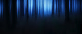 blue hour Poster och Canvastavla