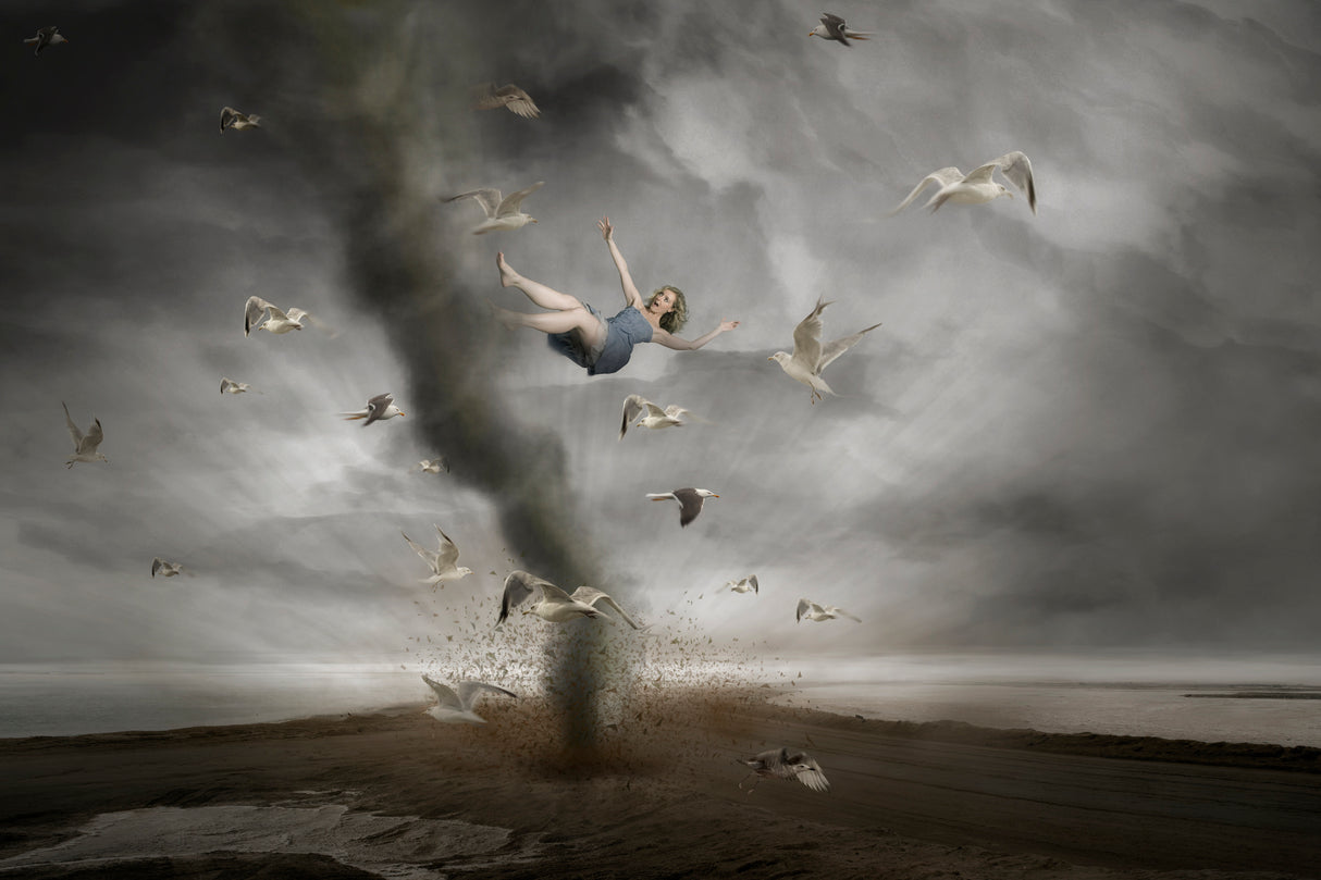 Tornado Poster och Canvastavla