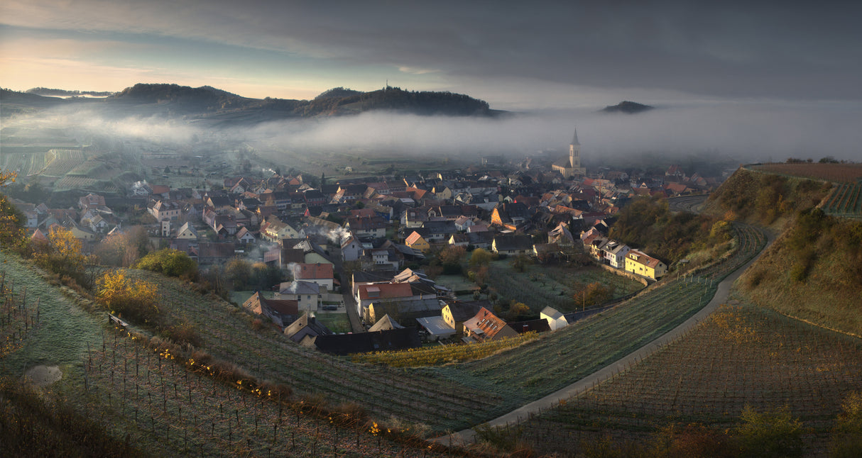 Foggy Kaiserstuhl Poster och Canvastavla