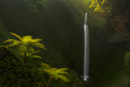 Morning Stream Poster och Canvastavla