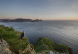 On the lookout Poster och Canvastavla