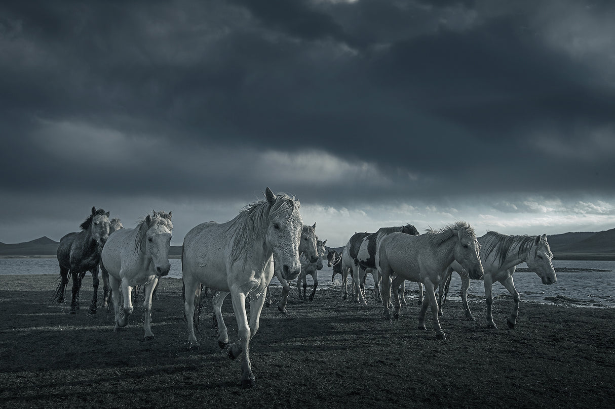 It's cloudy Poster och Canvastavla