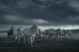 It's cloudy Poster och Canvastavla