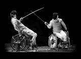 Wheelchair Fencing Poster och Canvastavla