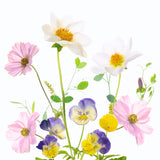 Late Summer Poster och Canvastavla