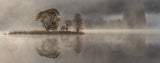 October morning Poster och Canvastavla