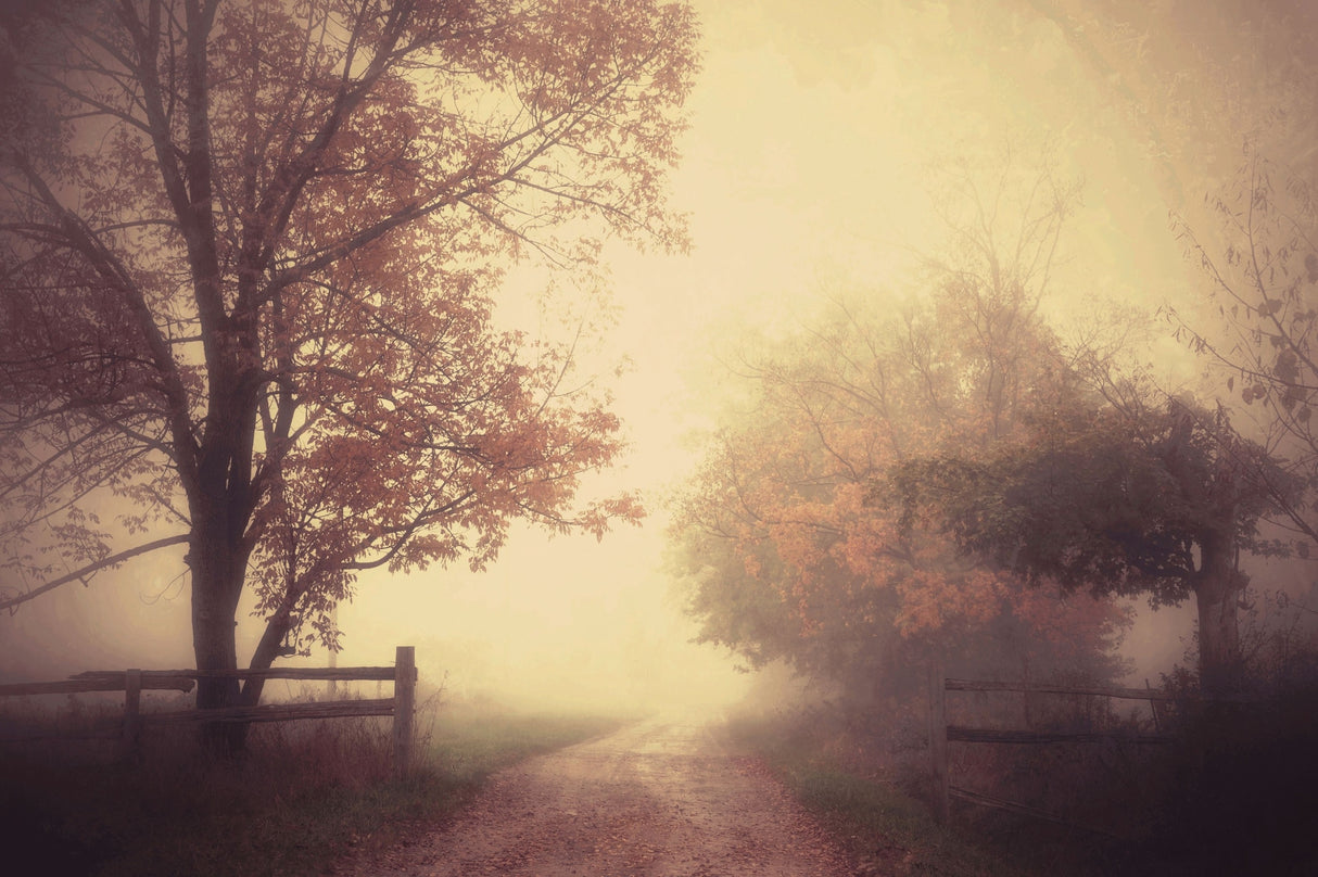 an autumn day forever Poster och Canvastavla