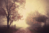 an autumn day forever Poster och Canvastavla
