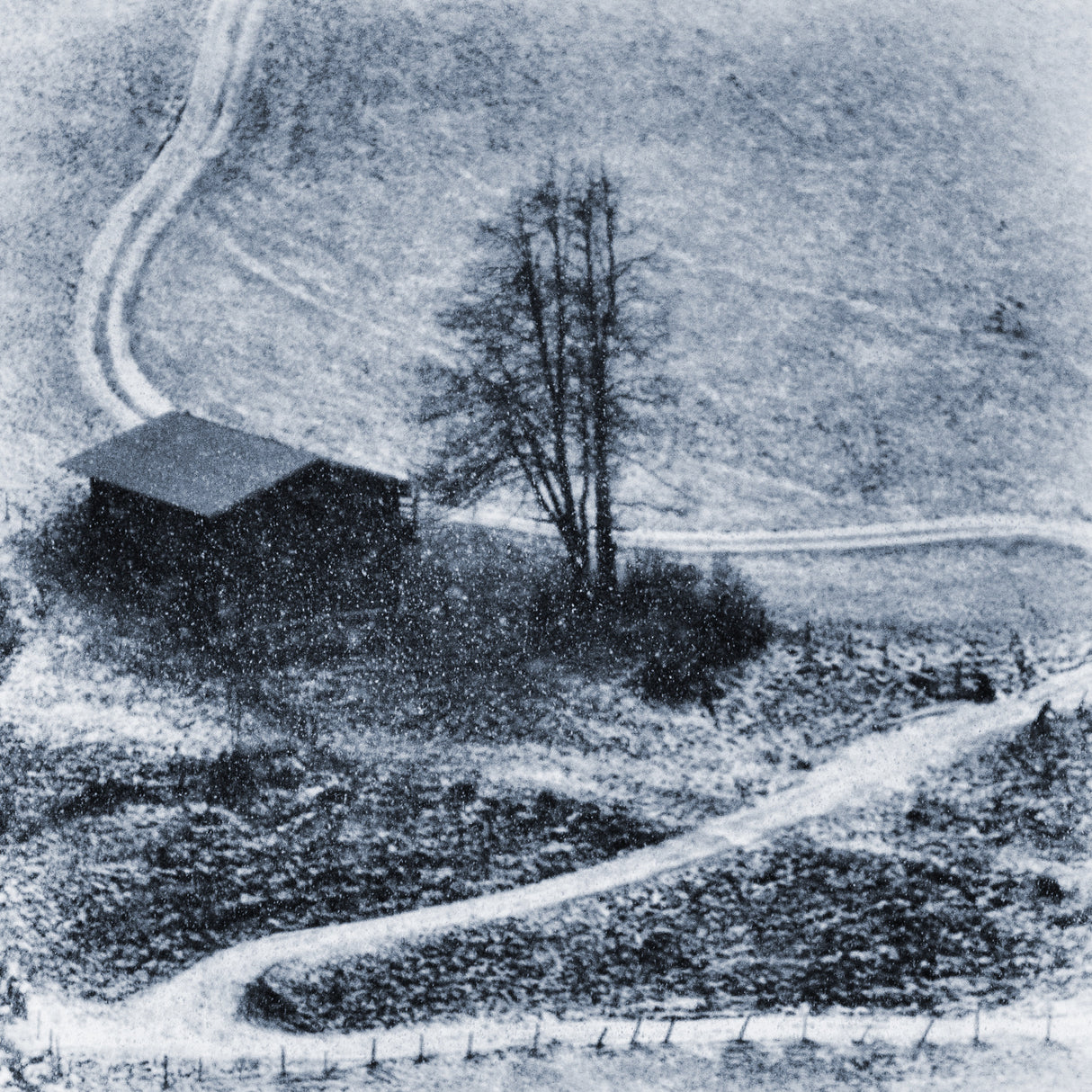 winter days Poster och Canvastavla