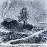 winter days Poster och Canvastavla