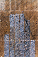 Sardine Drying Poster och Canvastavla
