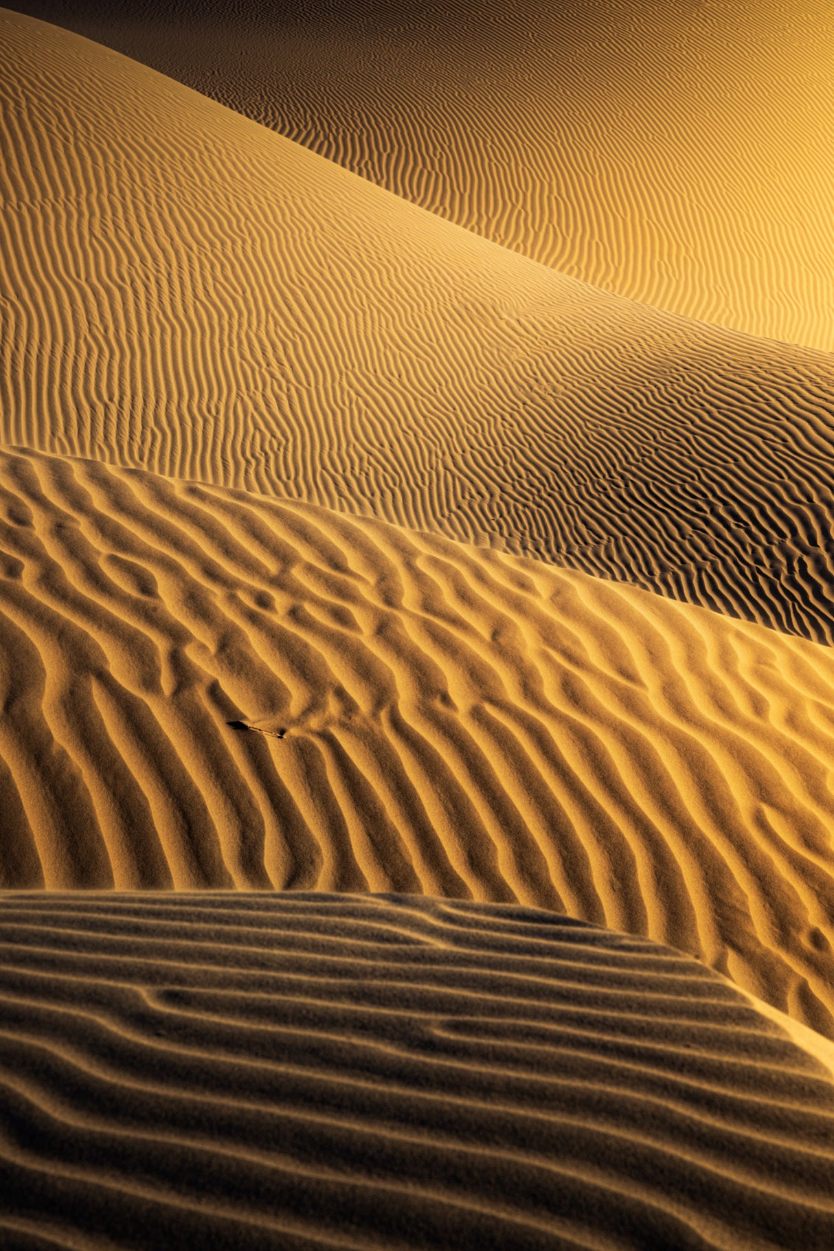 Sand Layers Poster och Canvastavla