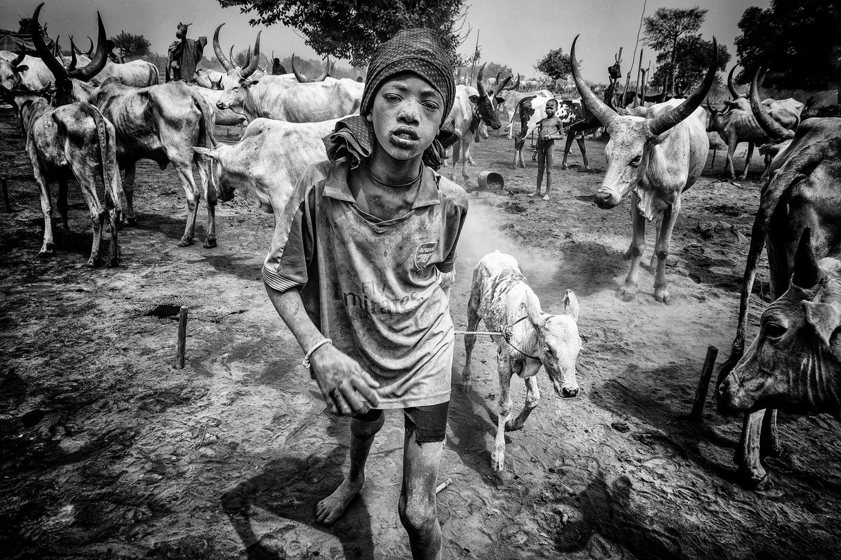 At a mundari cattle camp - South Sudan Poster och Canvastavla