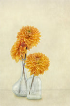 3 Dahlias Poster och Canvastavla