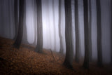 Autumn mood Poster och Canvastavla