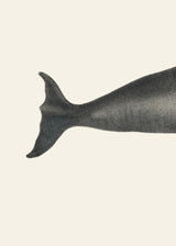 Whale Tight Crop I Handcolored Sealife Lithograph 1824 Poster och Canvastavla