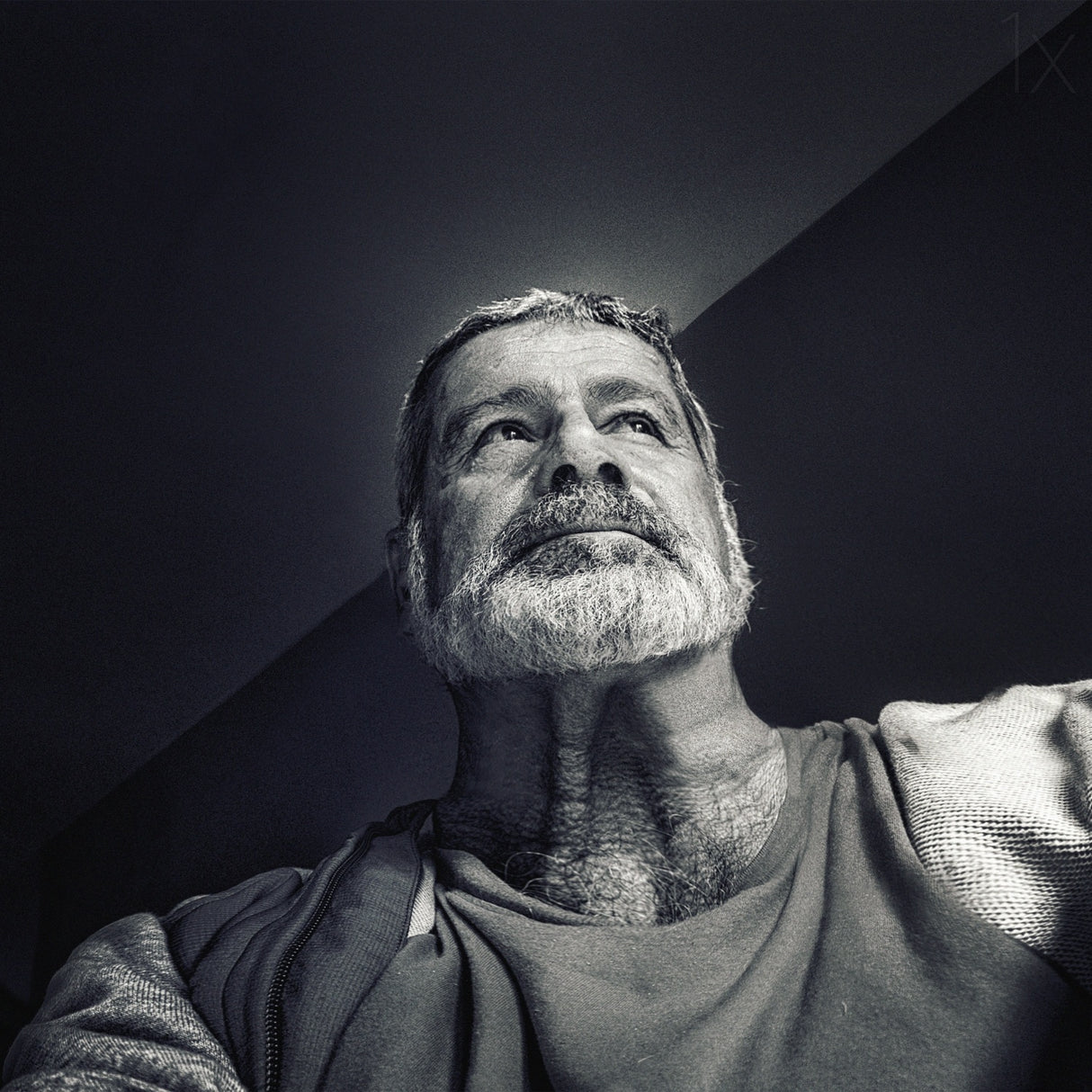 facing the light Poster och Canvastavla