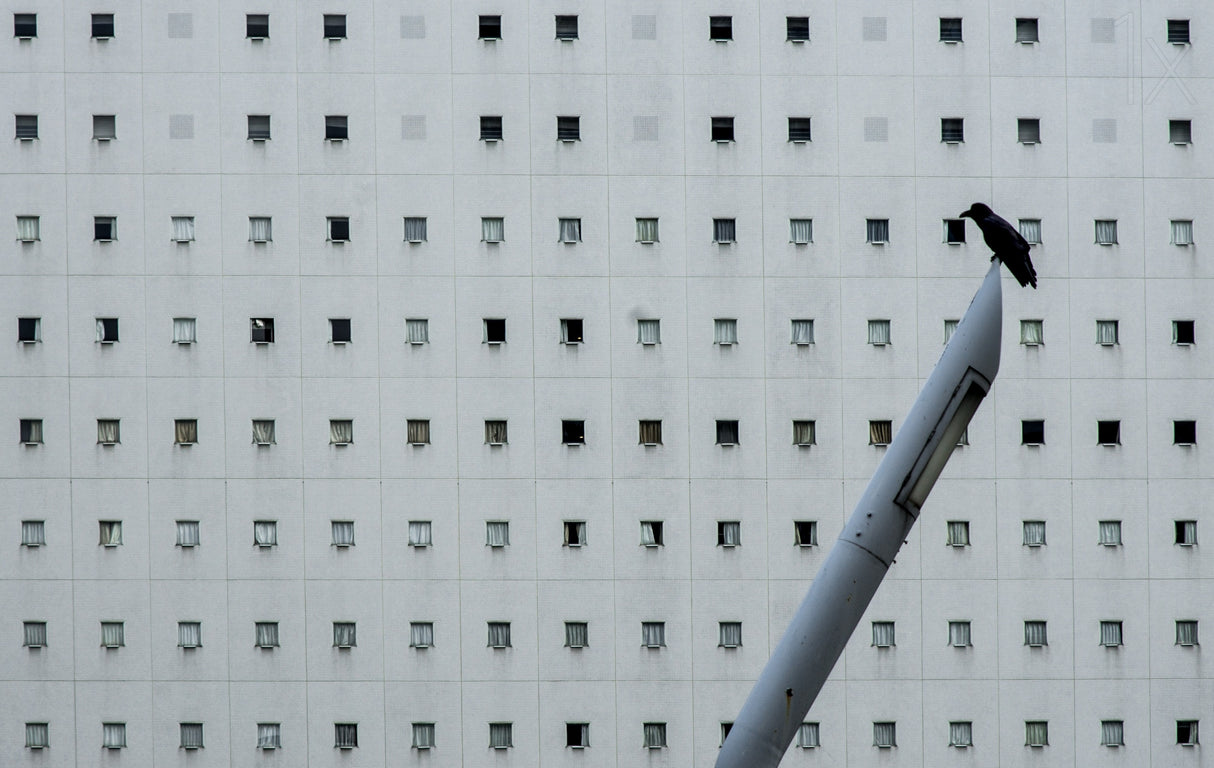 The hotel of a crow Poster och Canvastavla