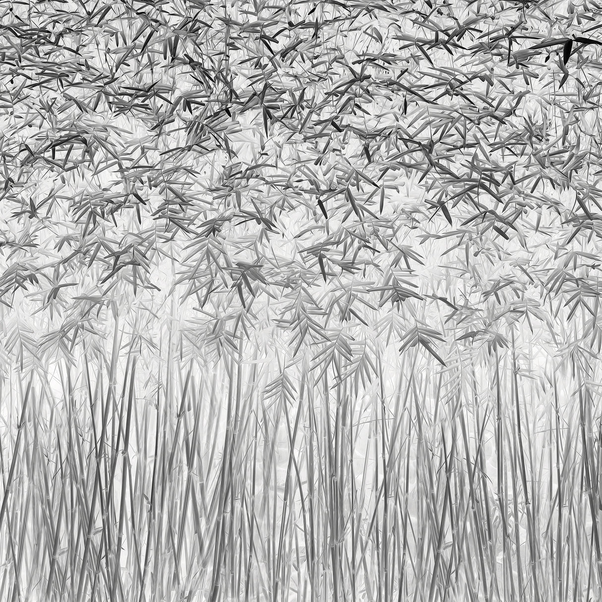 Parallelism Poster och Canvastavla