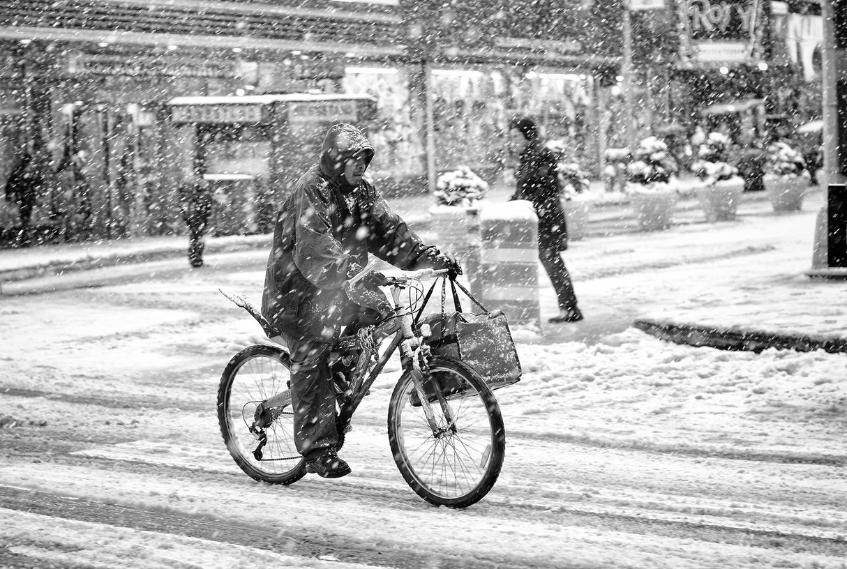 New York in Blizzard Poster och Canvastavla