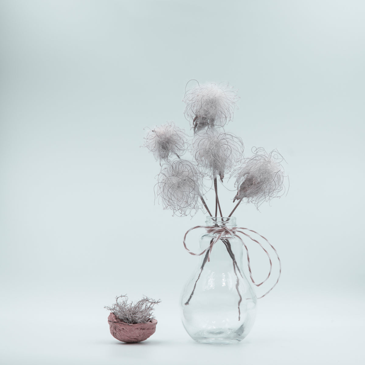 Fluffy White Poster och Canvastavla
