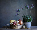 Lavender Harvest Poster och Canvastavla