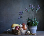 Lavender Harvest Poster och Canvastavla