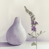 summer lilac Poster och Canvastavla