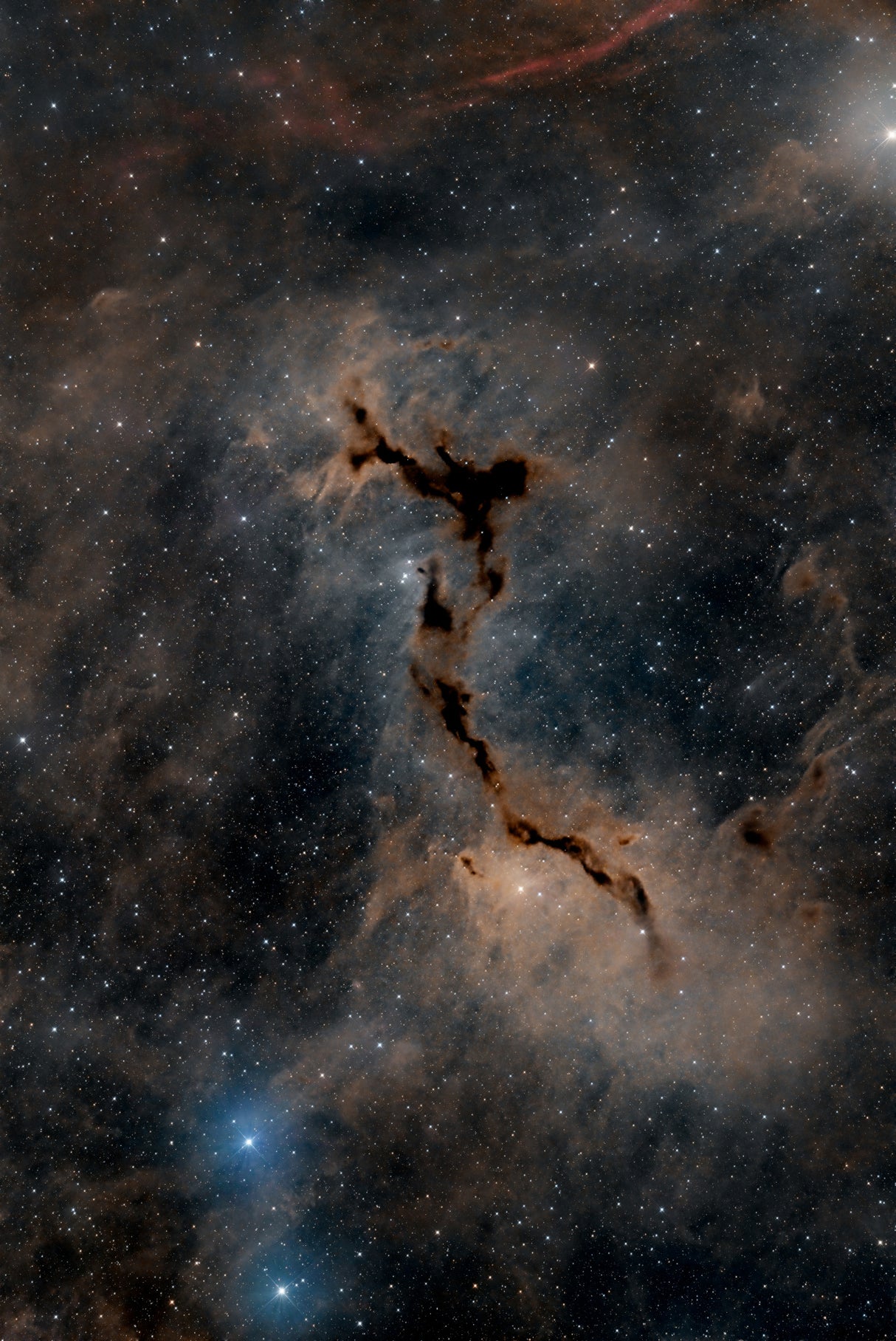 The Seahorse Nebula Poster och Canvastavla