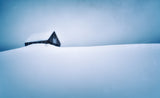 A winter tale Poster och Canvastavla