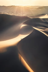 exposed to the sun Poster och Canvastavla