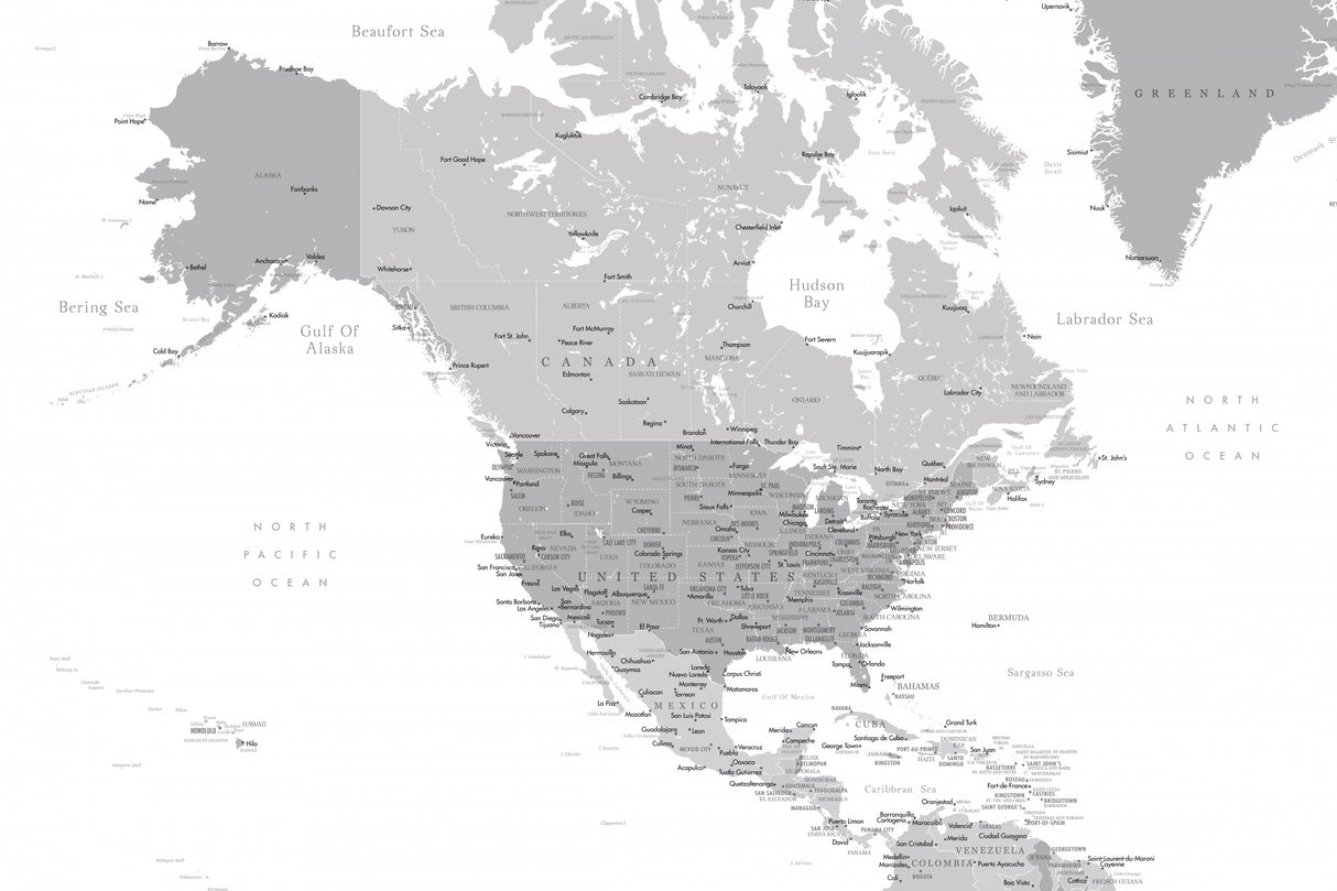 Gray map of North America with cities Poster och Canvastavla