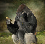 The Thinker Poster och Canvastavla