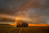 Witness of the Rainbow Poster och Canvastavla