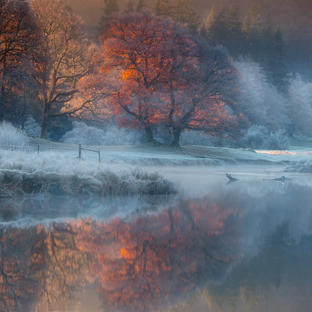 River Brathay Poster och Canvastavla