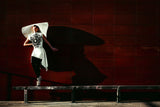 Dancing with Shadow Poster och Canvastavla