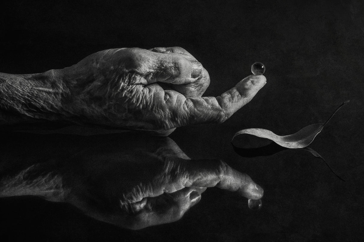 Still a drop of life Poster och Canvastavla