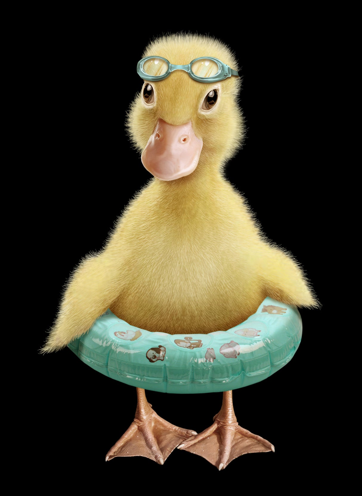 DUCK Poster och Canvastavla