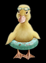 DUCK Poster och Canvastavla