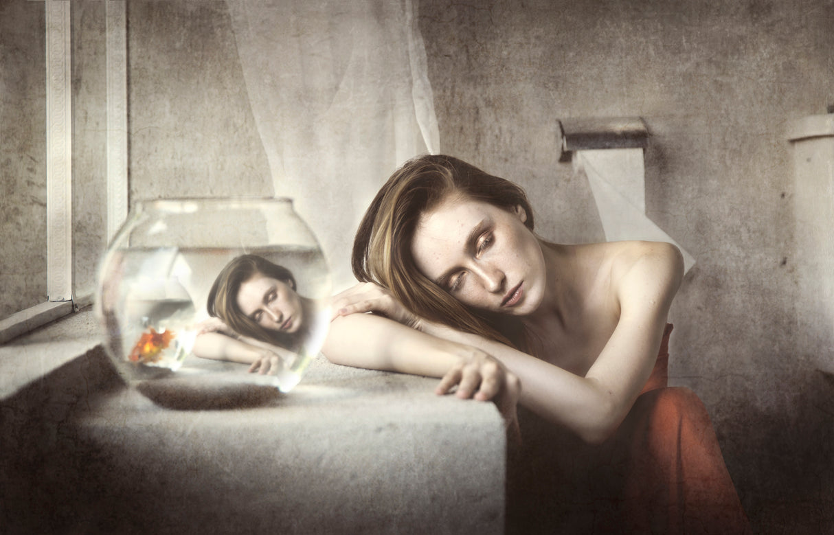 Deceiving Poster och Canvastavla