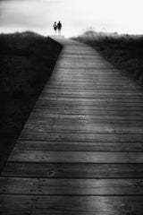 The long road to the beach Poster och Canvastavla