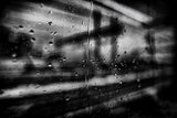 Rain Poster och Canvastavla