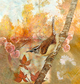 Sweet Autumn Carolina Wren Poster och Canvastavla