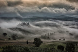 Playing with the Fog ! Poster och Canvastavla