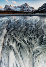 Amazing Skagsanden beach, Lofoten Poster och Canvastavla
