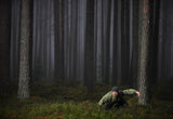 Carefully through the mist Poster och Canvastavla