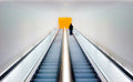 Who's Afraid of Black, Yellow and Grey Poster och Canvastavla